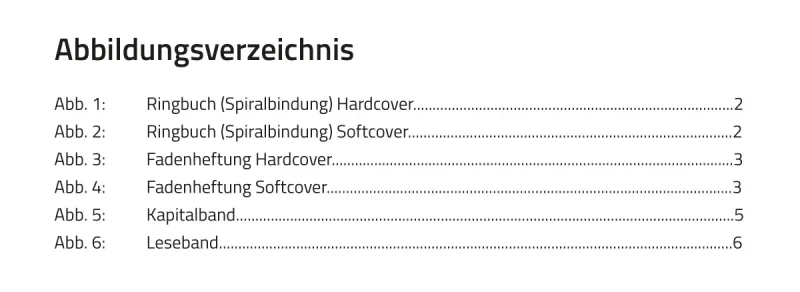 Beispiel Abbildungsverzeichnis